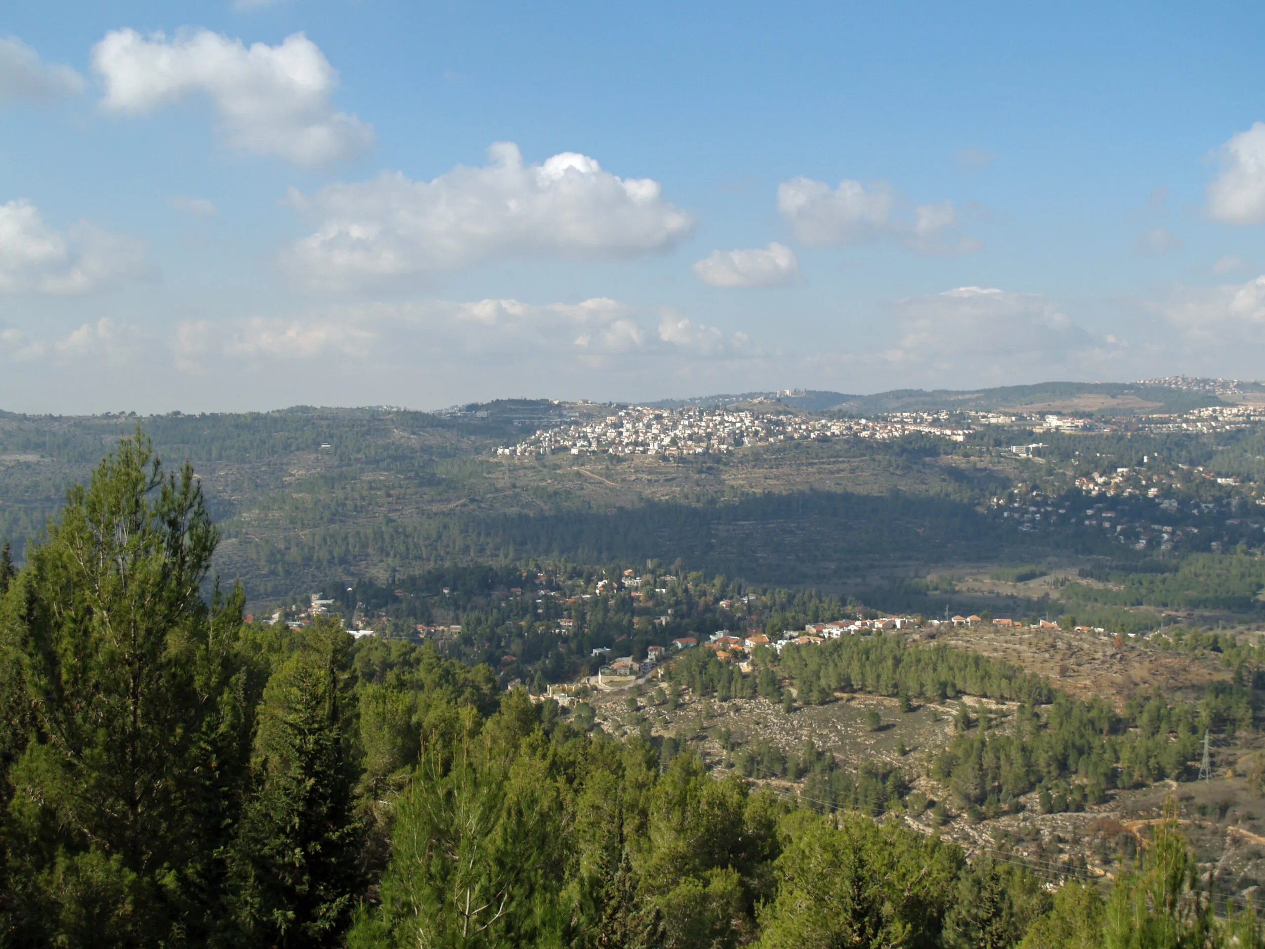 נלחמים על היער: תוכנית הבניה בבירה השנויה במחלוקת
